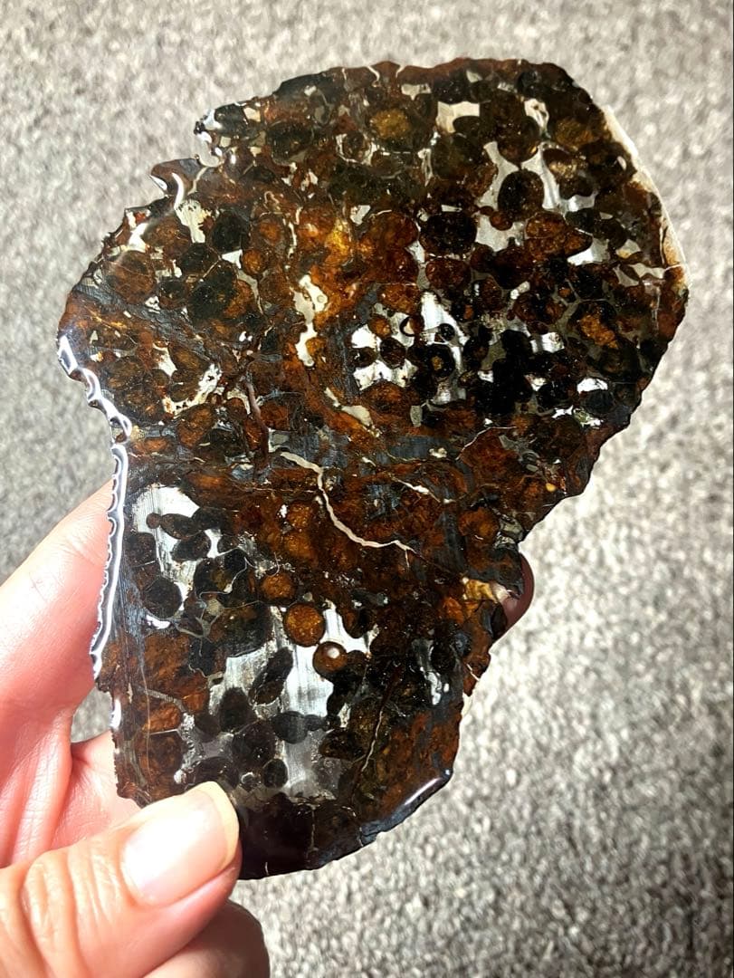 CAESAR　パラサイト隕石 セリコ隕石　石鉄隕石