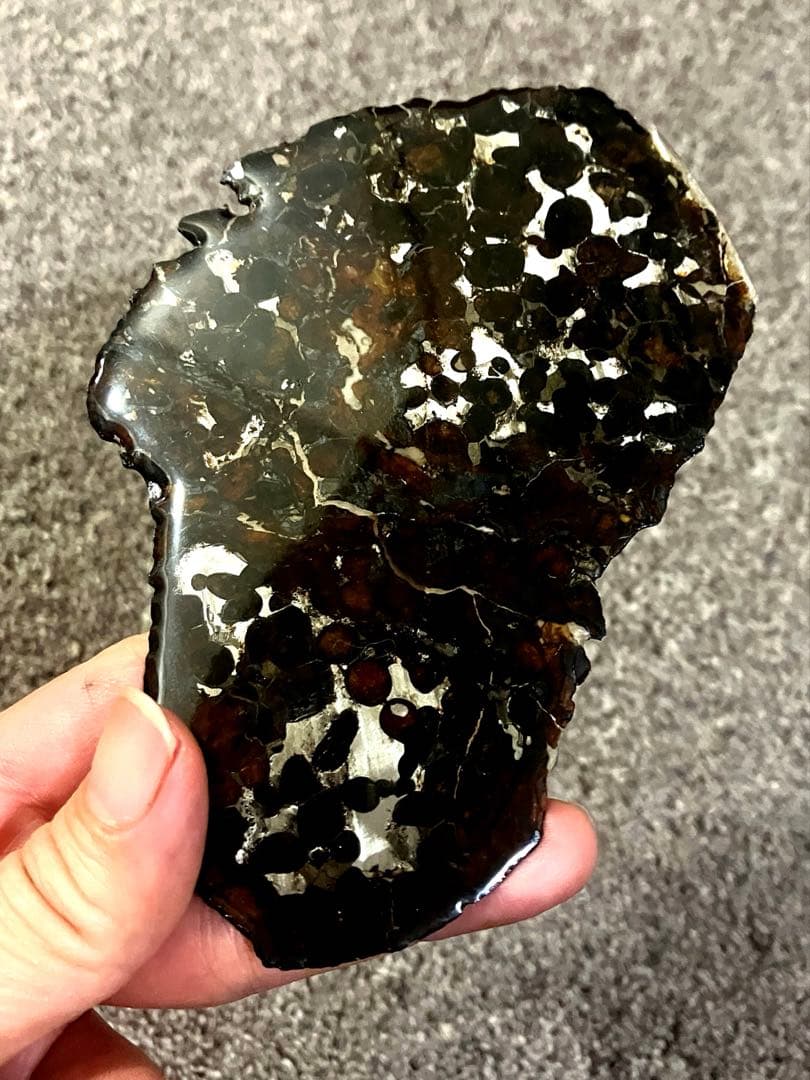 CAESAR　パラサイト隕石 セリコ隕石　石鉄隕石