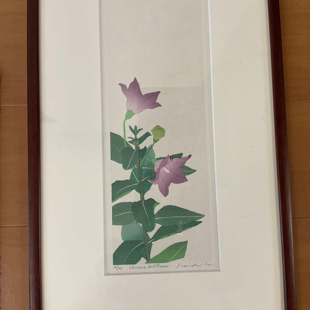 シルクスクリーン chinese bellflower 25/75