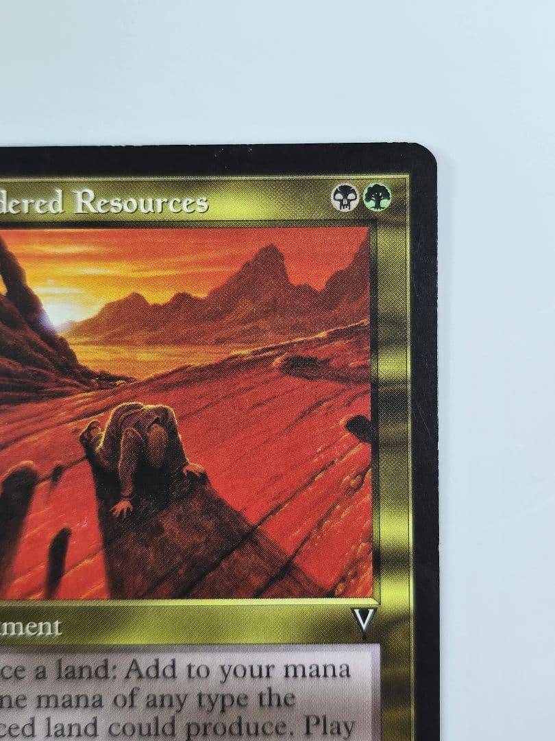 資源の浪費/Squandered Resources VIS　英語、１枚