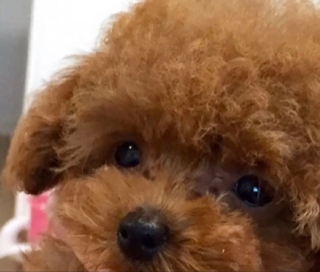 ひろみんさん 専用