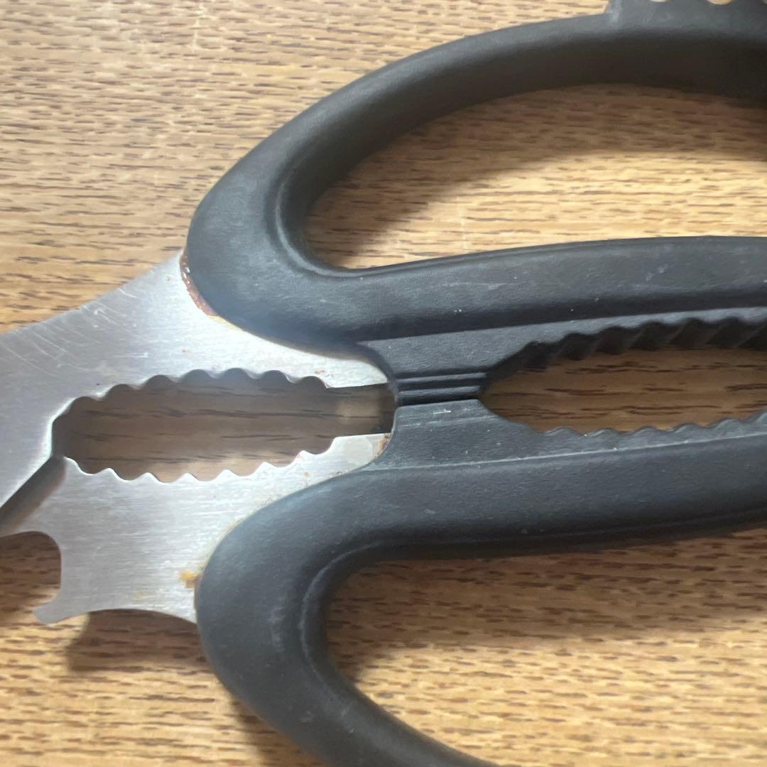 BUCK ステンレススチール はさみ レザーケース付き