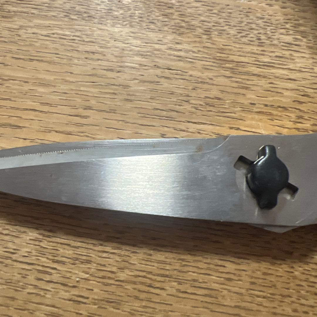 BUCK ステンレススチール はさみ レザーケース付き