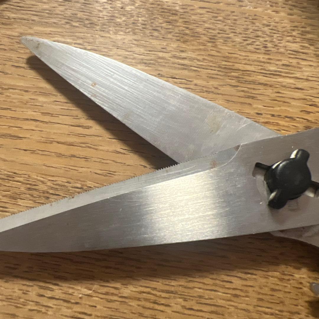 BUCK ステンレススチール はさみ レザーケース付き