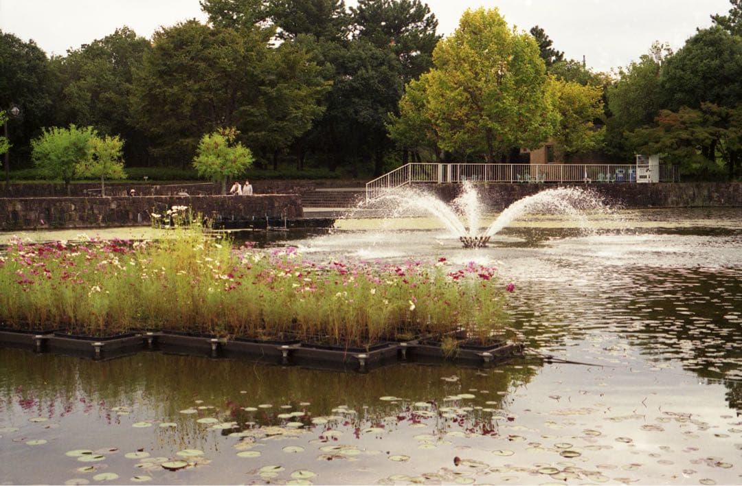 ミノルタ minolta xg-s №8021232.№5318174