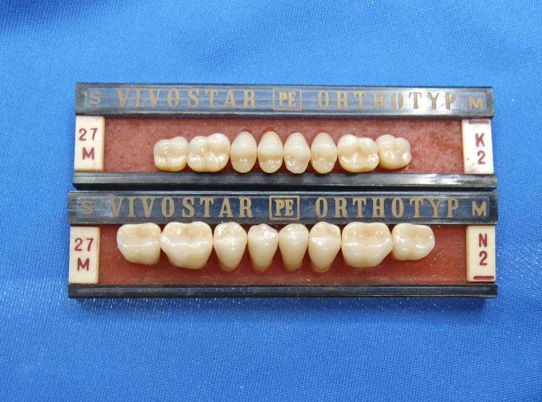 ビボスター　PE オーソタイプ　陶材　歯