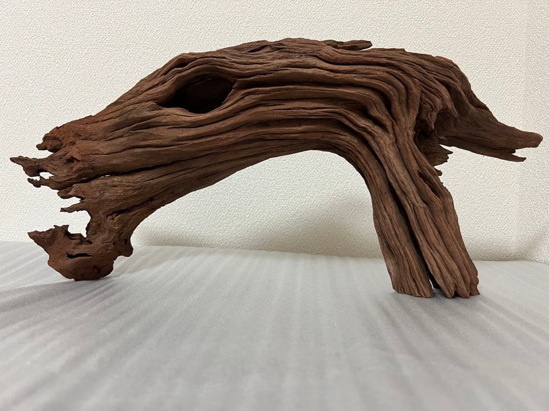 HX-062流木　ホーンウッド　マシンガンウッド　アクアリウム　ブランチウッド