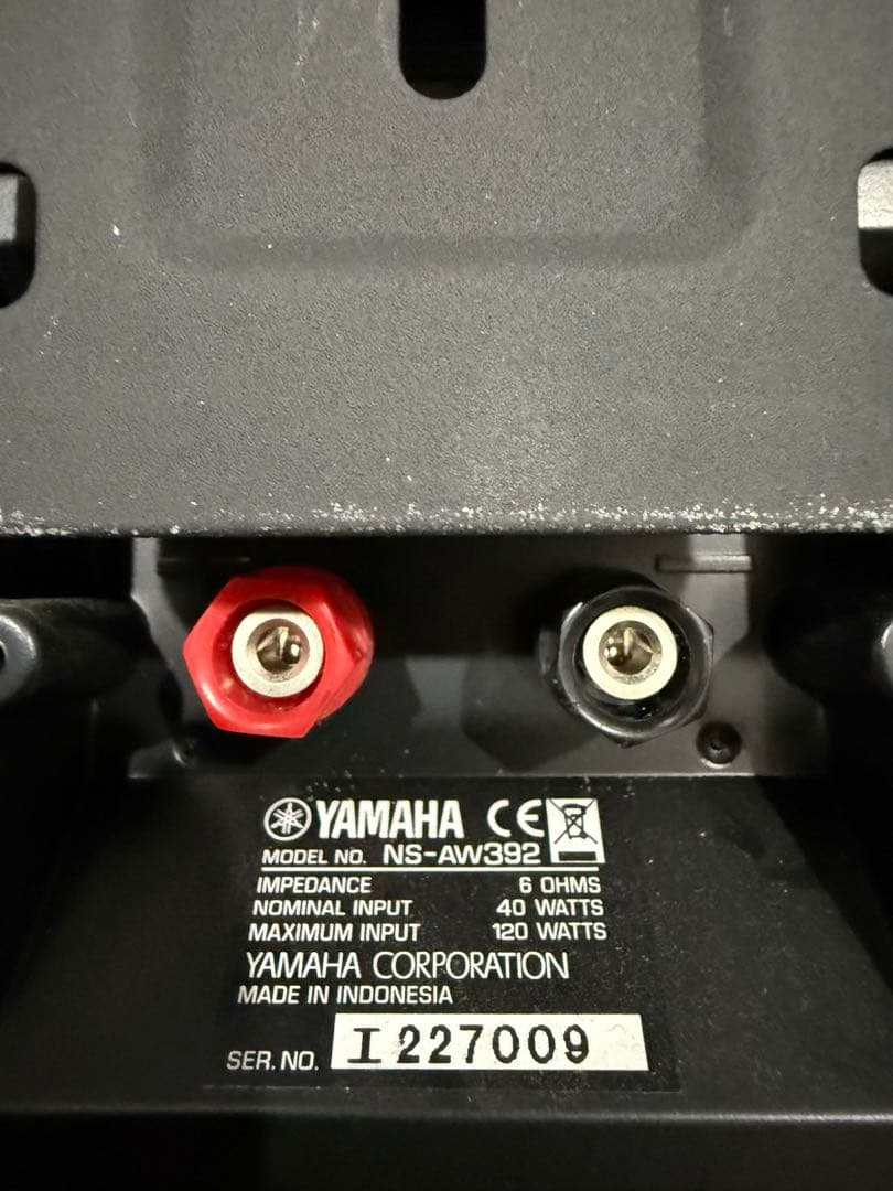 YAMAHA NS-AW392 ペア