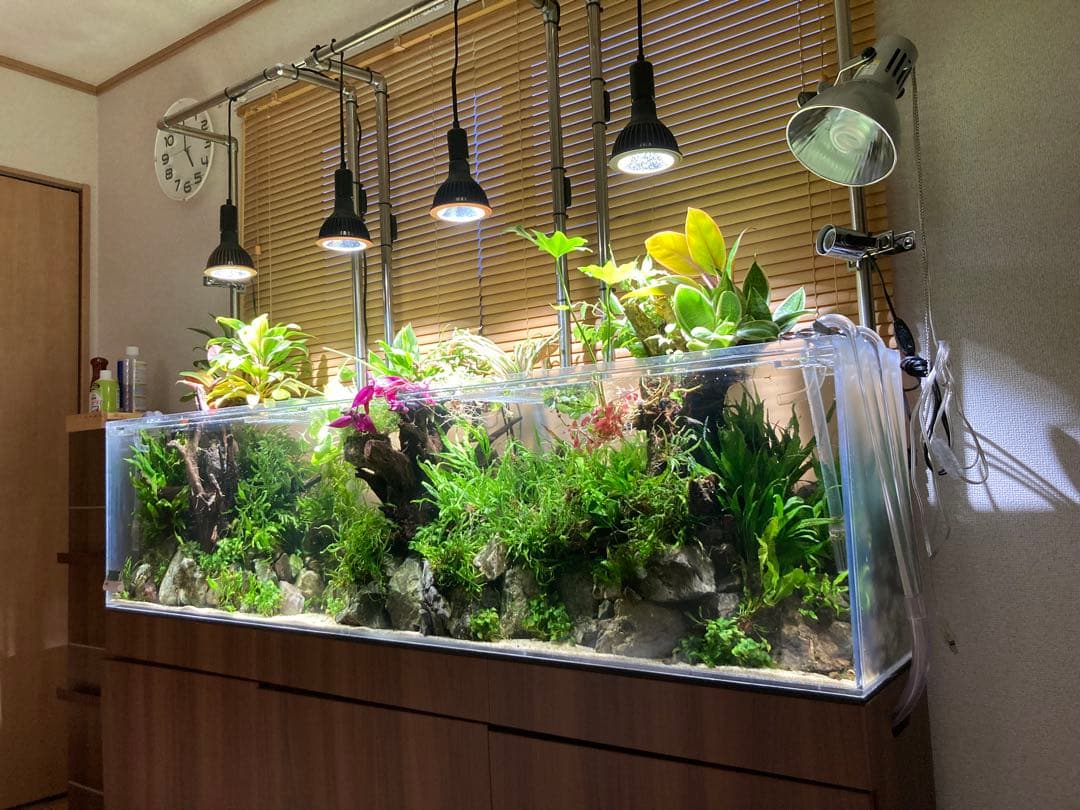 ひわ　大型アクリル水槽 横1800x高さ450x奥行き300mm 水槽のみ