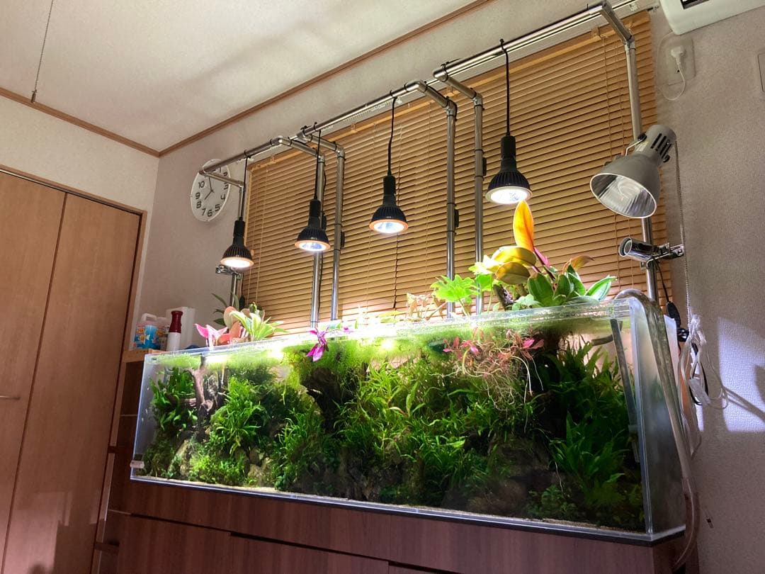 ひわ　大型アクリル水槽 横1800x高さ450x奥行き300mm 水槽のみ