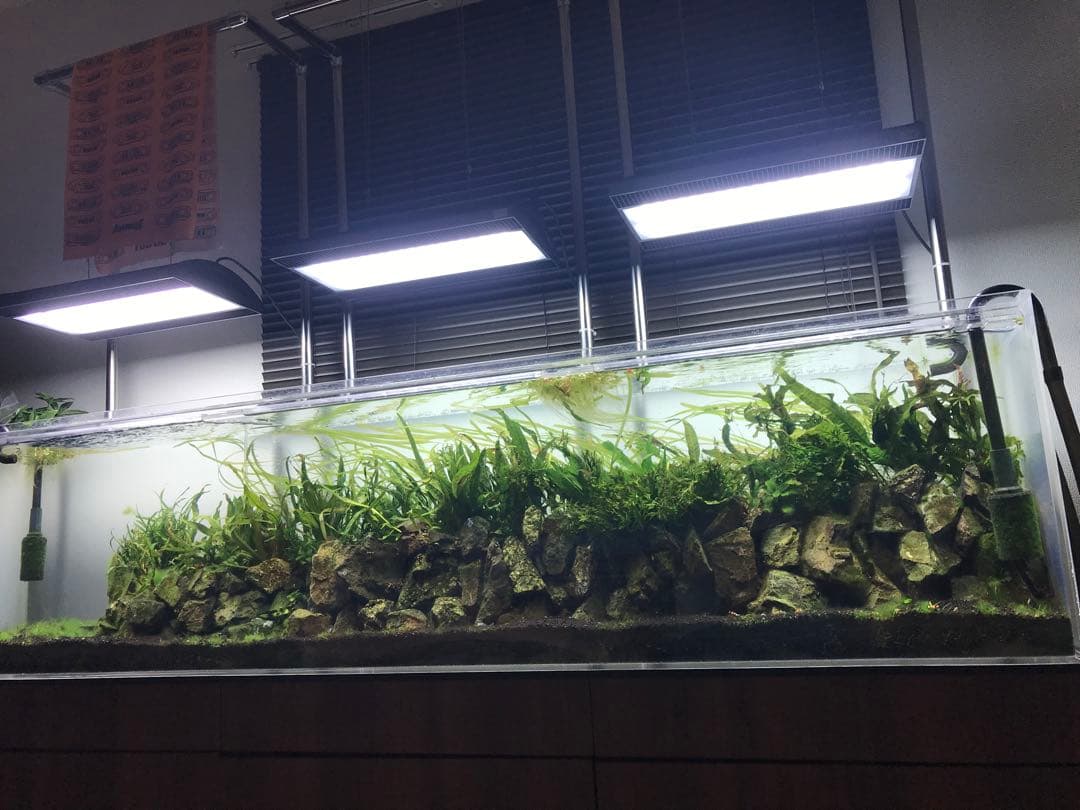 ひわ　大型アクリル水槽 横1800x高さ450x奥行き300mm 水槽のみ