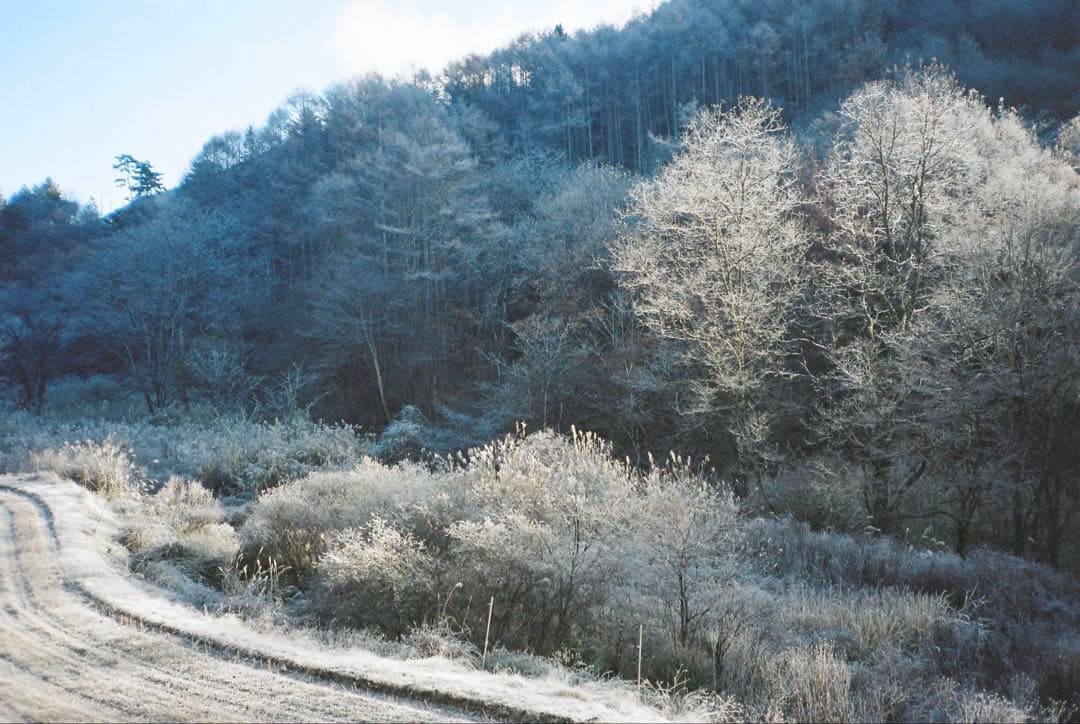 【撮影・OH済み】現場監督 Wide28 コンパクトフィルムカメラ　①