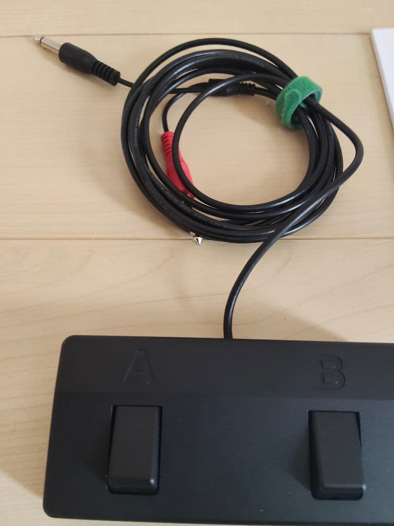 BOSS Acoustic Singer Live アンプ ギターシールド付属