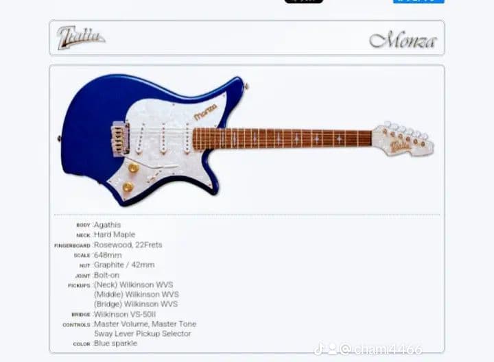 【USED】Italia Guitars Monza ビザール系