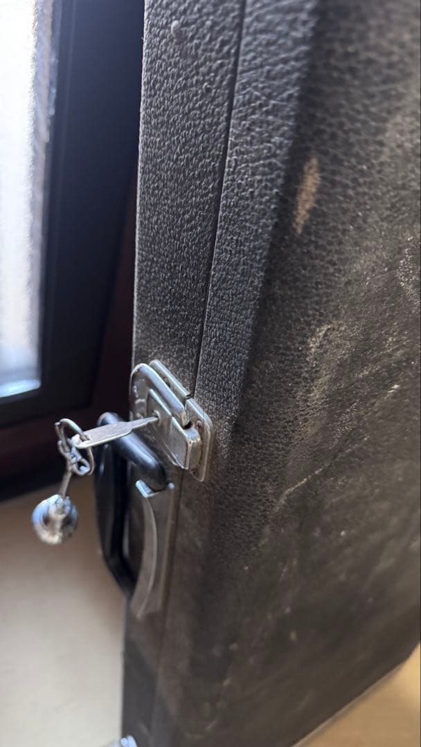 ギター Kevin Hochbaum