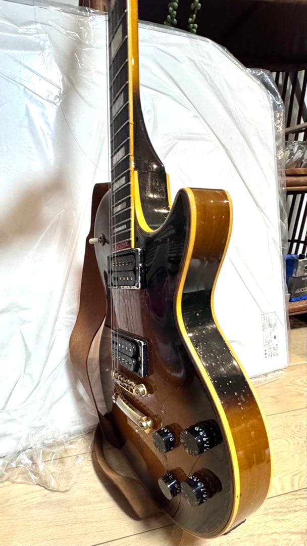 ギター Kevin Hochbaum