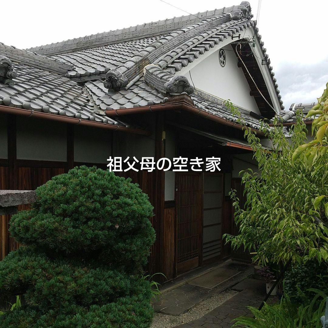 【 未使用 】 屋久杉 木製 酒器 銚子 とっくり