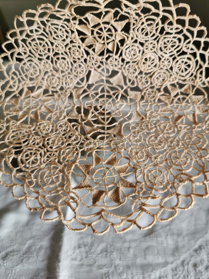 アンティーク レティセラレース 線状のニードルワーク プントインアリアドイリー