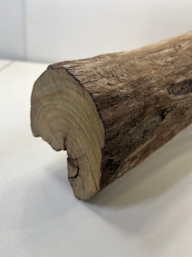 R71特大流木 アク抜き済み流木 爬虫類シェルター 登り木 インテリア 生け花