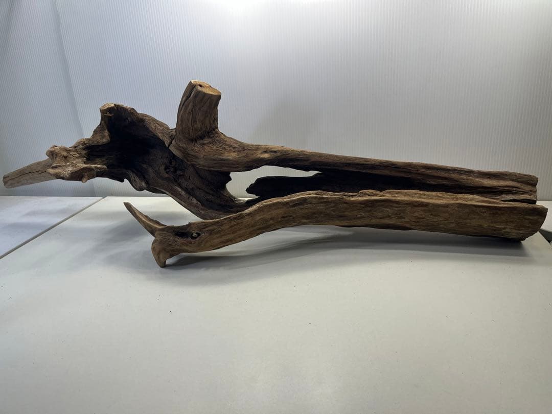 R71特大流木 アク抜き済み流木 爬虫類シェルター 登り木 インテリア 生け花