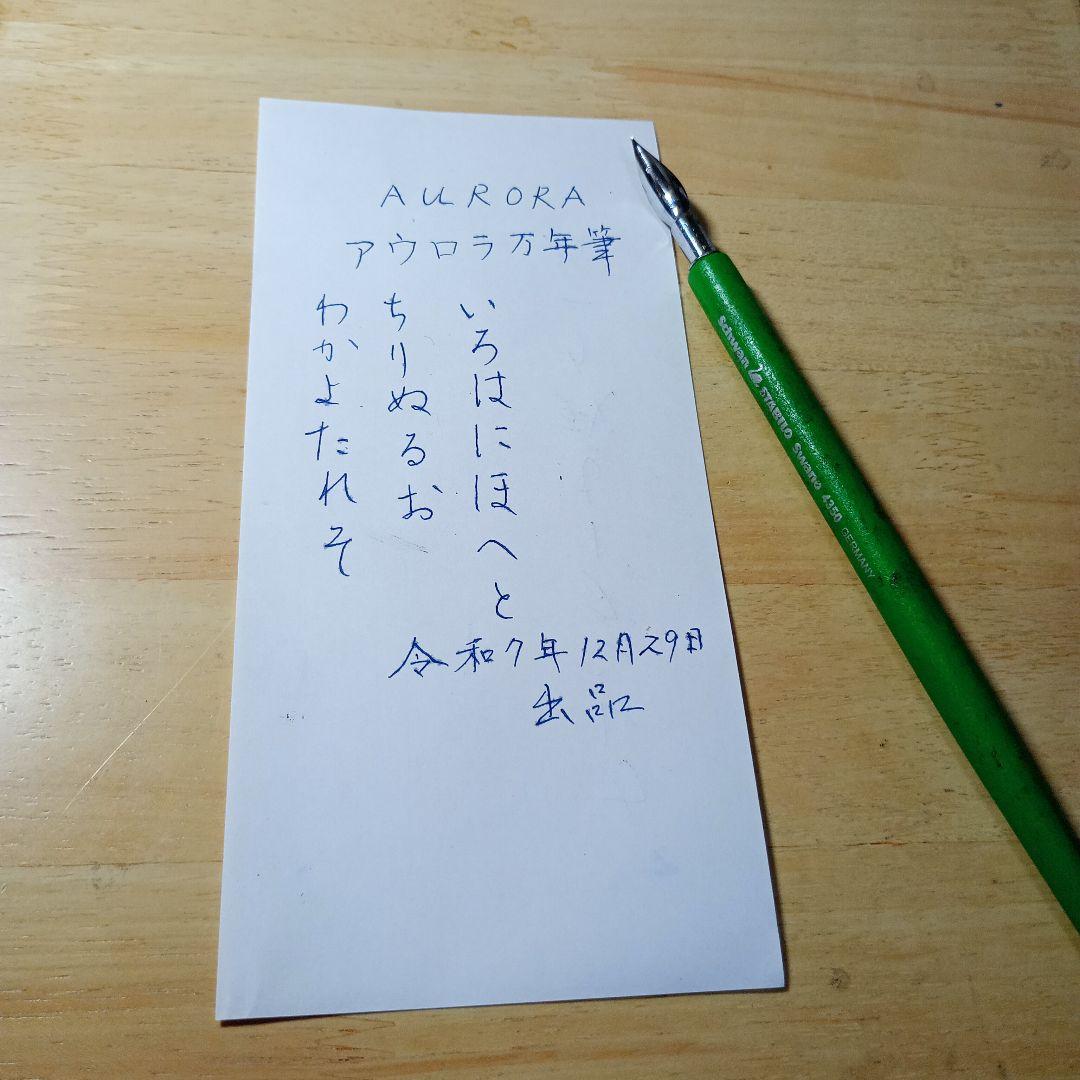 AURORA アウロラ 万年筆