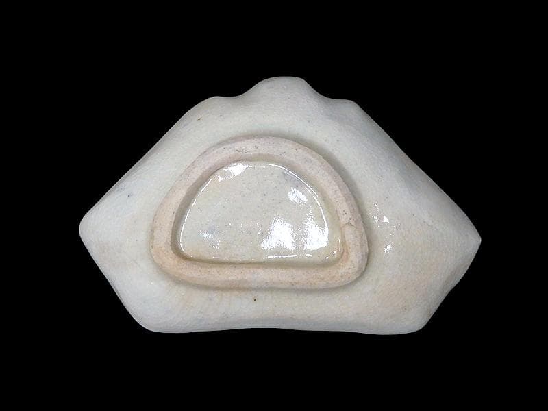 古伊万里　染付　型刷印判　幾何学文様　富士型変形皿　豆皿　F140AS-fbtc