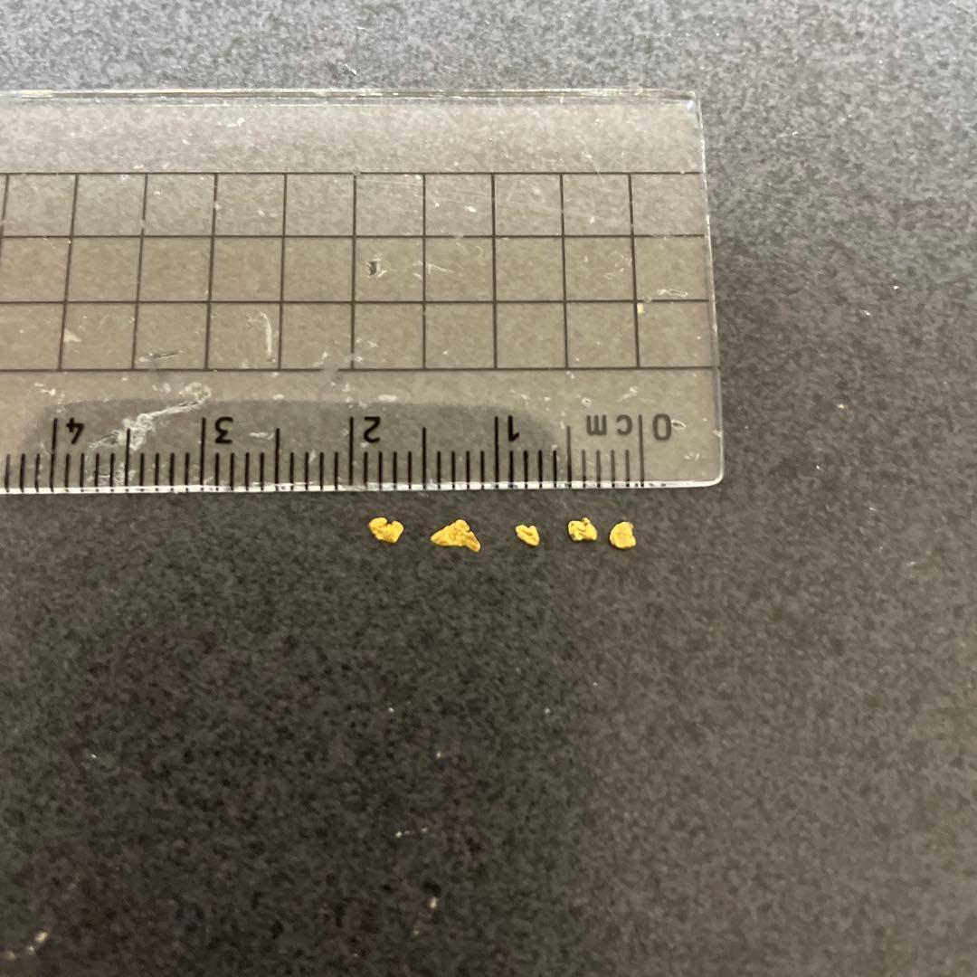 【最終値下】佐渡西三川ゴールドパーク 佐渡金山 砂金 5粒