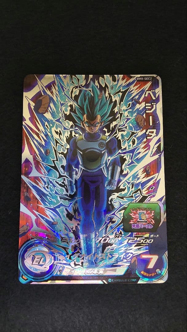 BM8-SEC2　ベジータ