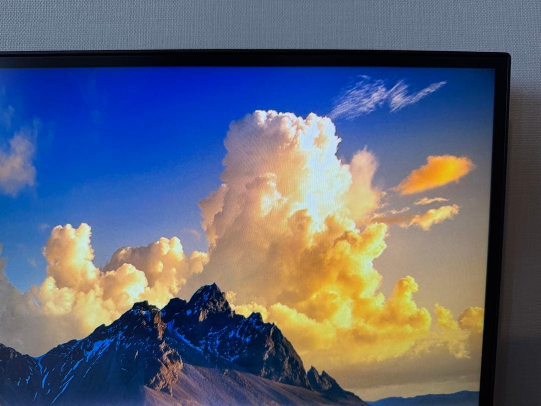 【Yuri0712】 2枚セット ThinkVision 本体のみ