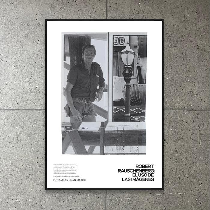 額装品/Collage/ロバート ラウシェンバーグ/ポスター/アート/インテリア