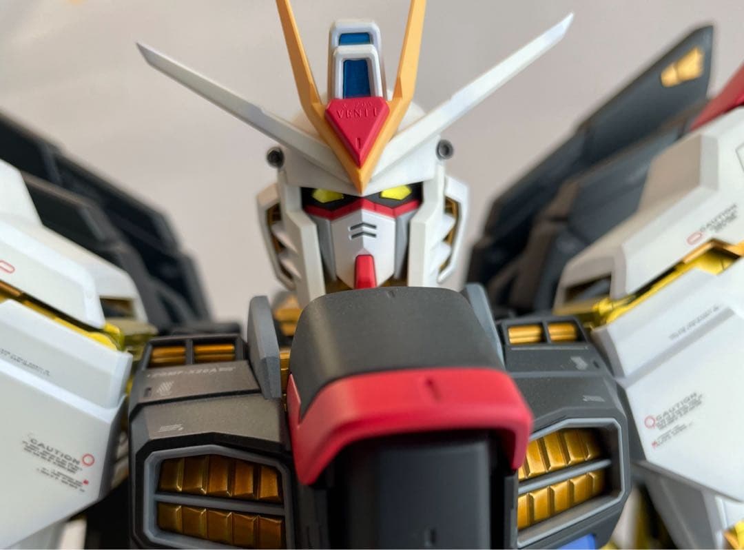 PG ストライクフリーダム ガンダム 塗装済完成品 1/60