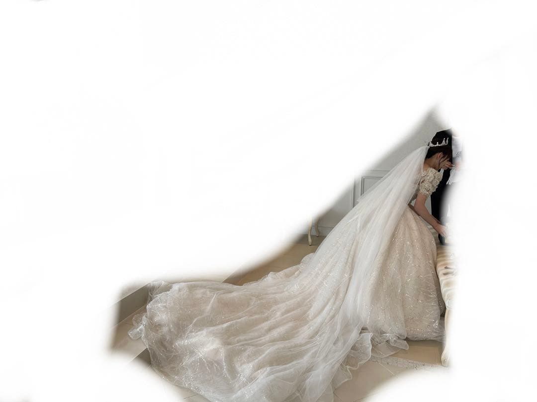 特別セール 早い者勝ち ウエディングドレス 結婚式 韓国 ブライダル