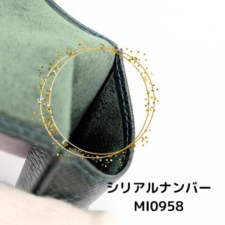 LOUIS VUITTON＊ルイヴィトン＊タイガ＊ペンケース＊美品