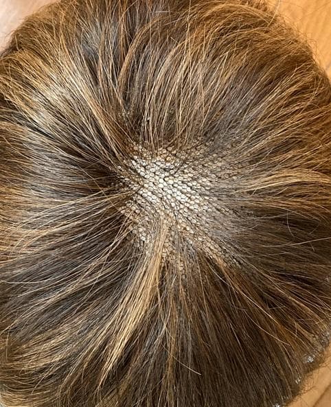 訳アリ　フォンテーヌ　VALAN　メッシュカラー　ショート