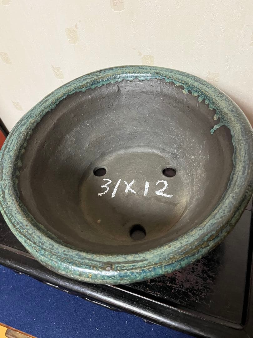 475 盆栽　盆栽鉢　植木鉢　和鉢　鴻陽