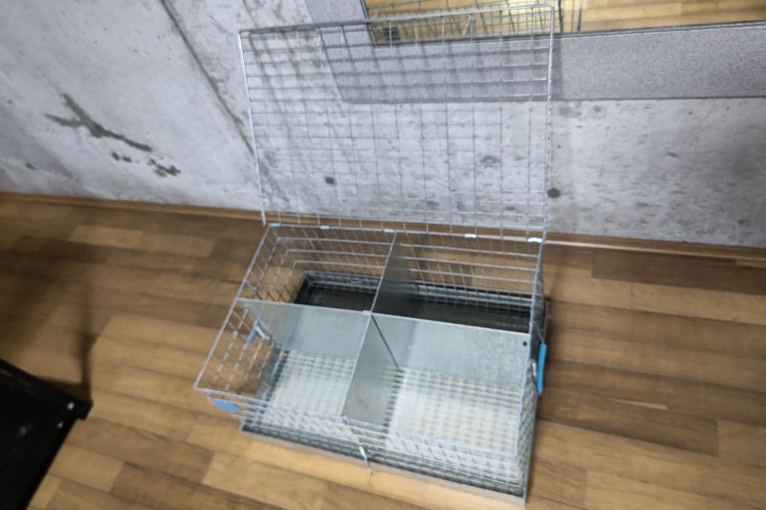 KWケージ　レア　うさぎ　輸入ケージ　4羽キャリー　中古品