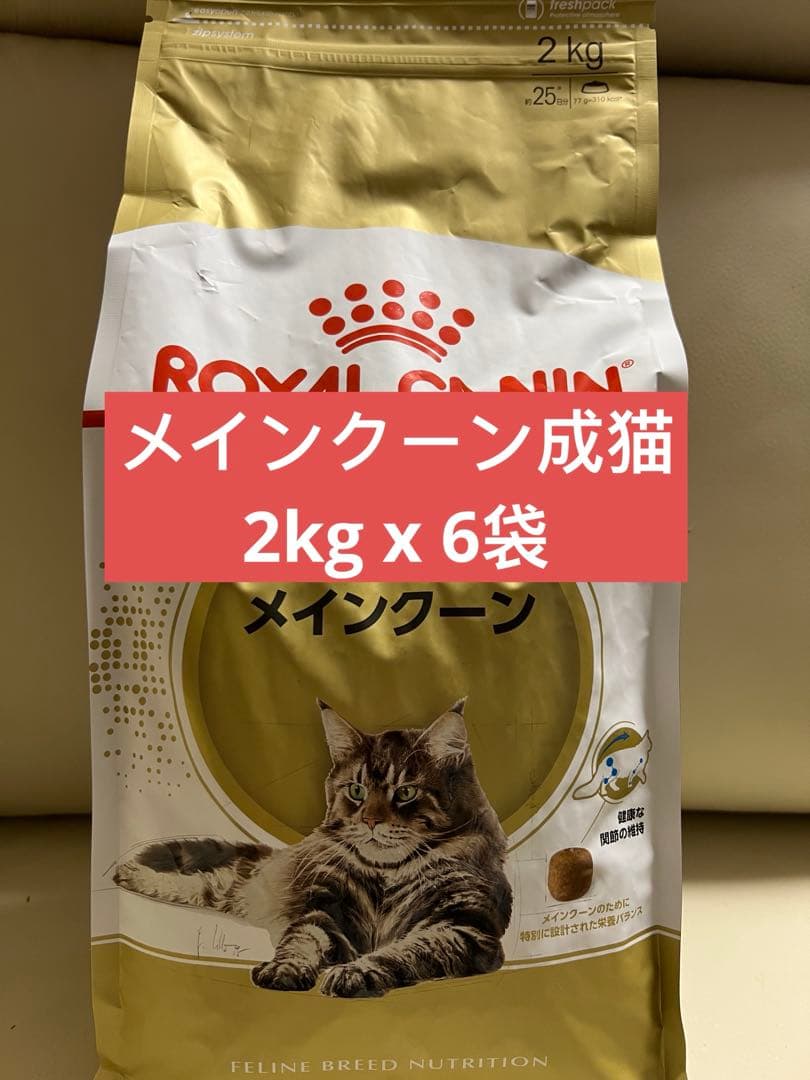  CANIN メインクーン 2kg x 6袋