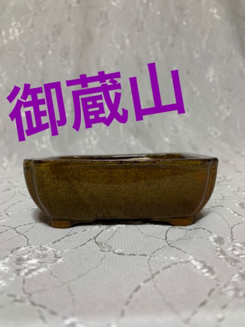 御蔵山　盆栽鉢　ミニ盆栽鉢