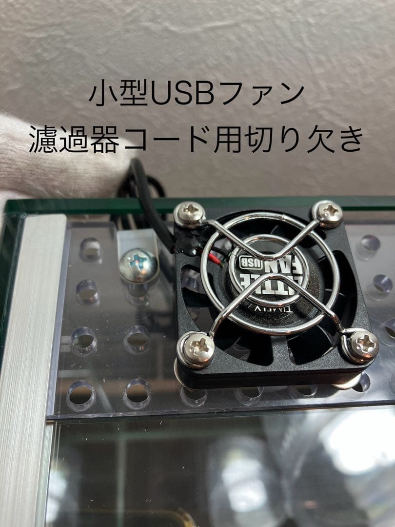 アクアサイダーのイモリウム テラリウム45cm水槽