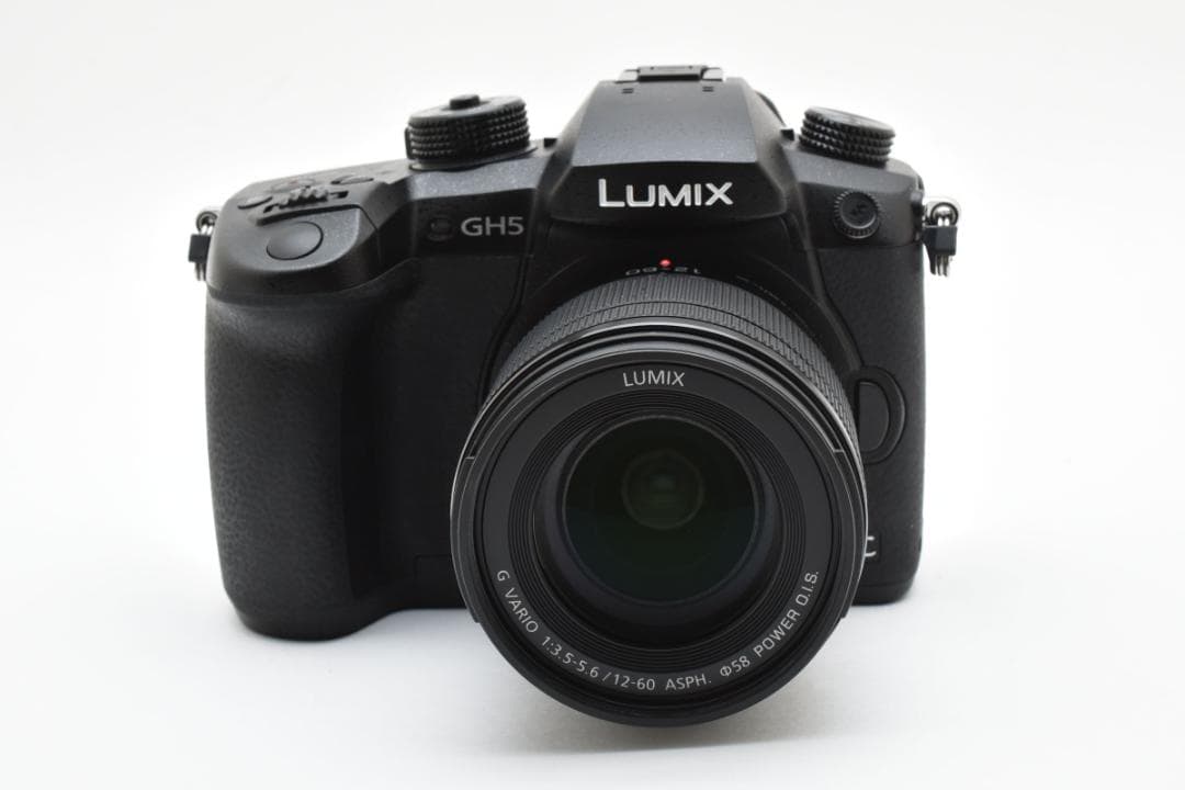 ■ショット数3451回■LUMIX DC-GH5 標準ズームレンズキット