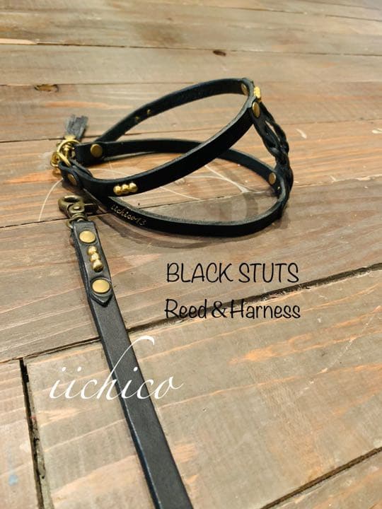 犬用　リード＆ハーネス【本革】original BLACK STUTS❣️