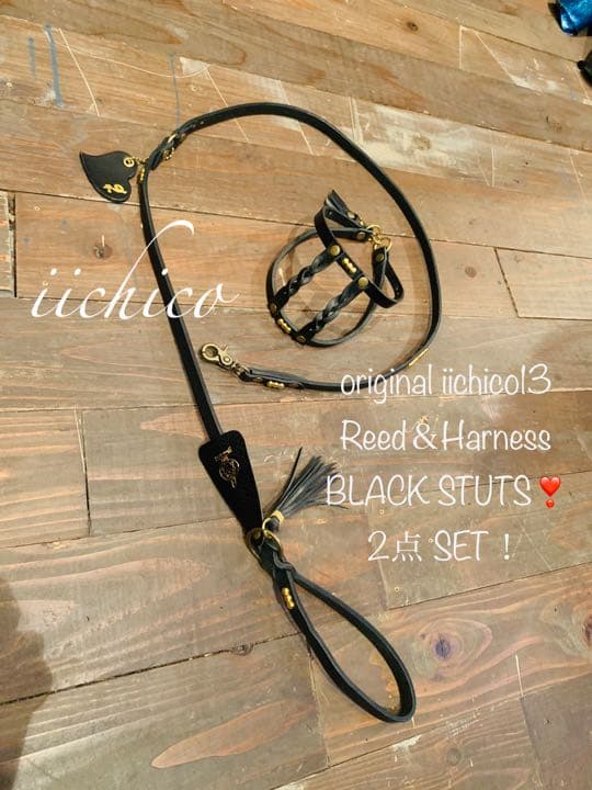 犬用　リード＆ハーネス【本革】original BLACK STUTS❣️
