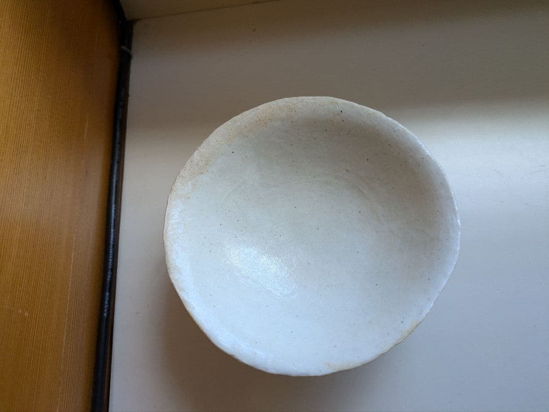 恩塚正二　器　キノコ