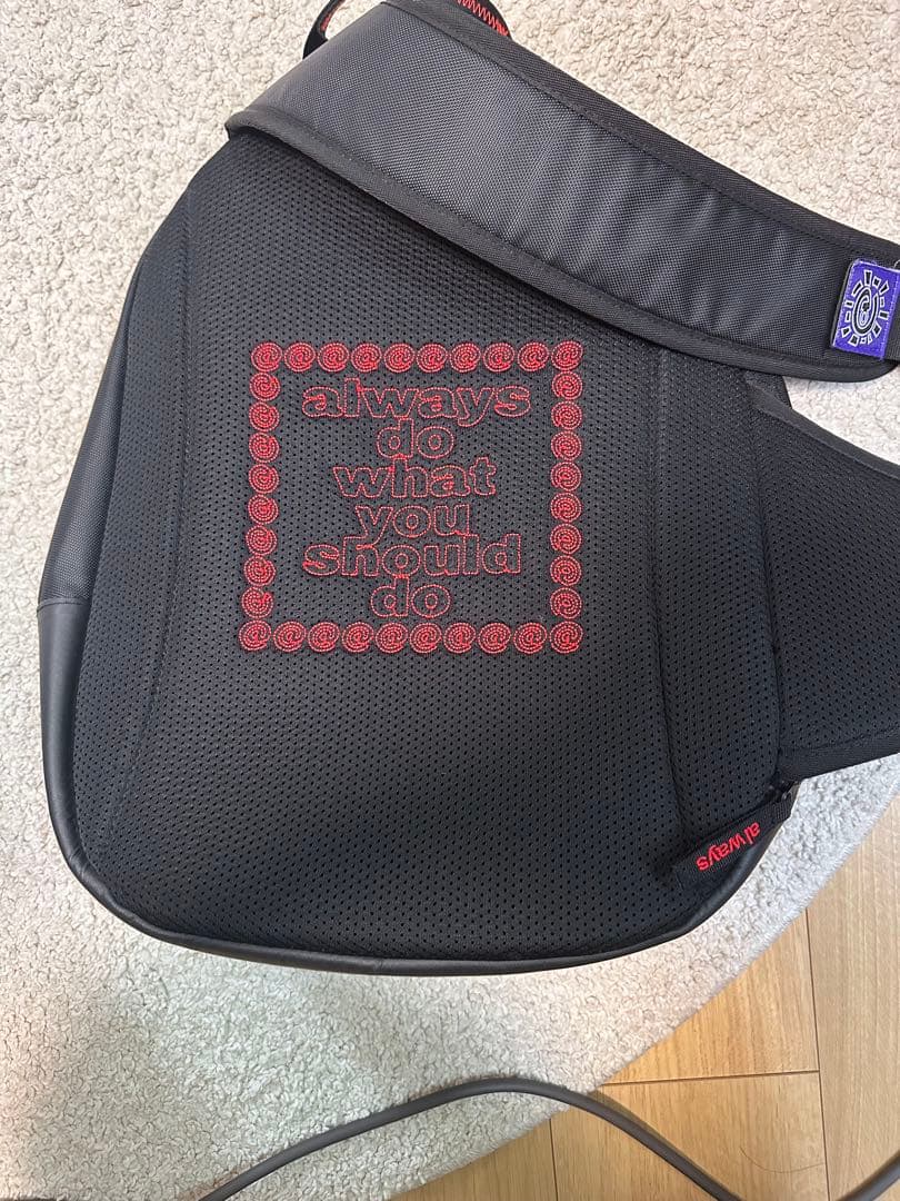 always do what you should do バック