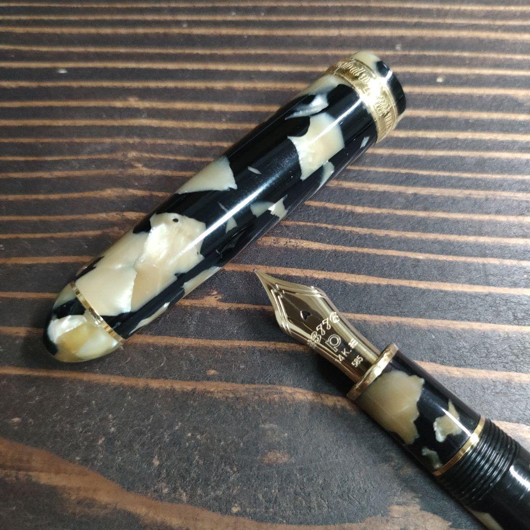 PLATINUM 万年筆 #3776 セルロイド #67 イシガキ 細字