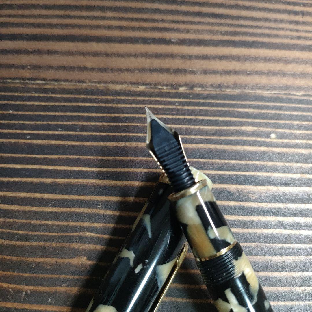 PLATINUM 万年筆 #3776 セルロイド #67 イシガキ 細字