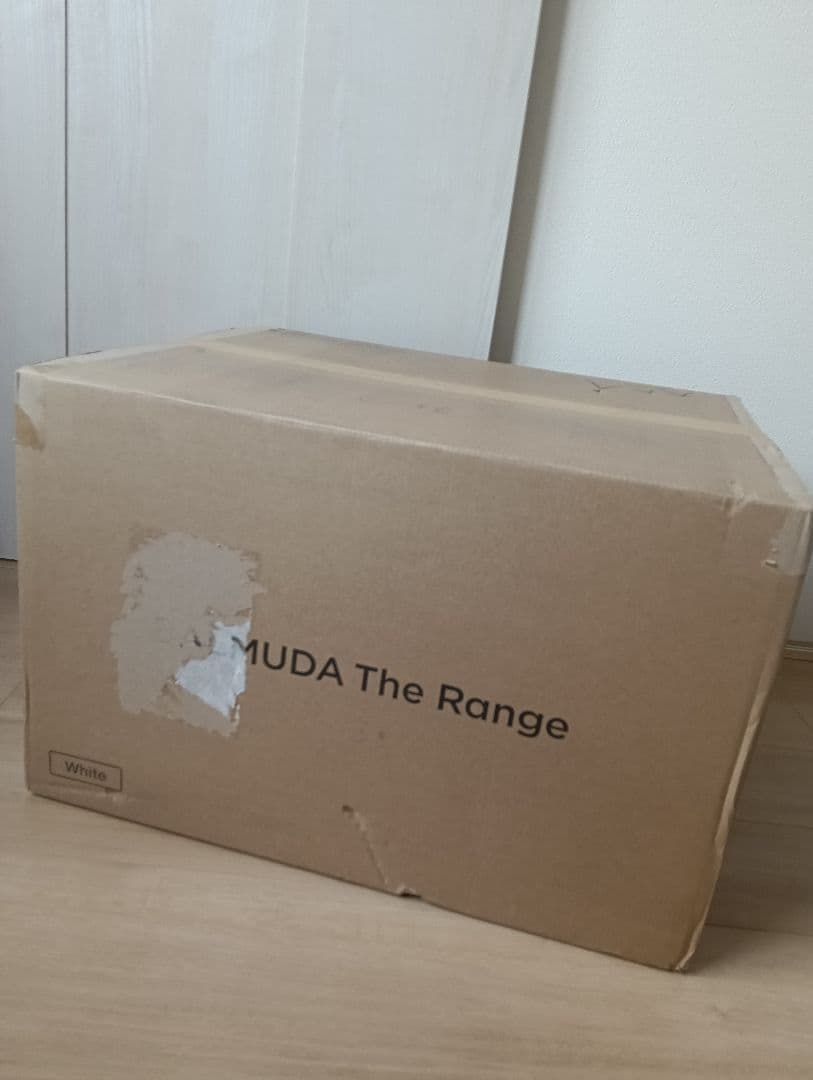 BALMUDA The Range オーブンレンジ 未使用