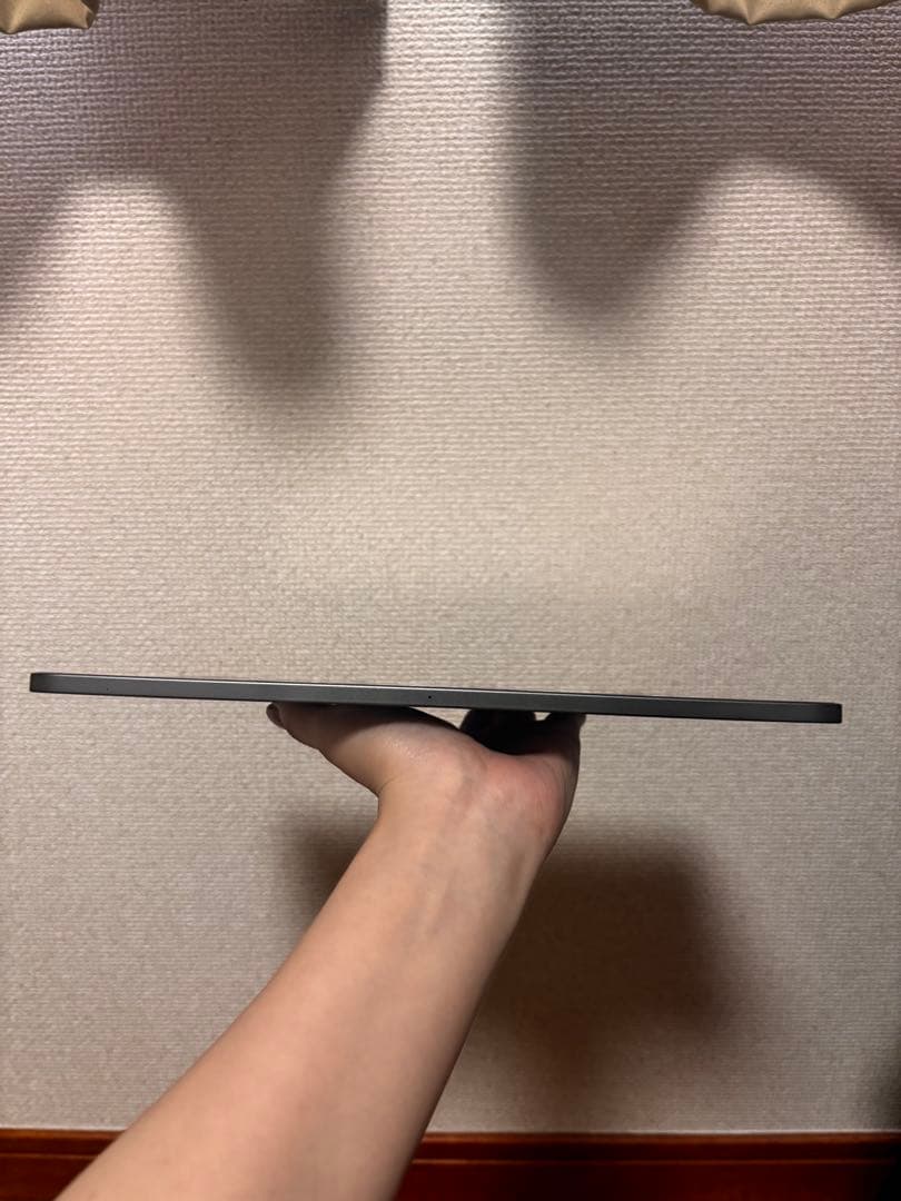 iPad Pro 11インチ WiFi 256GB Apple Pencil