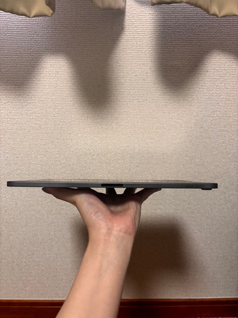 iPad Pro 11インチ WiFi 256GB Apple Pencil