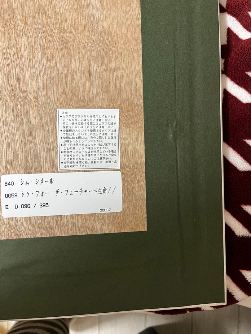 【希少 新品】シムシメール 2つの未来 Two For The Future